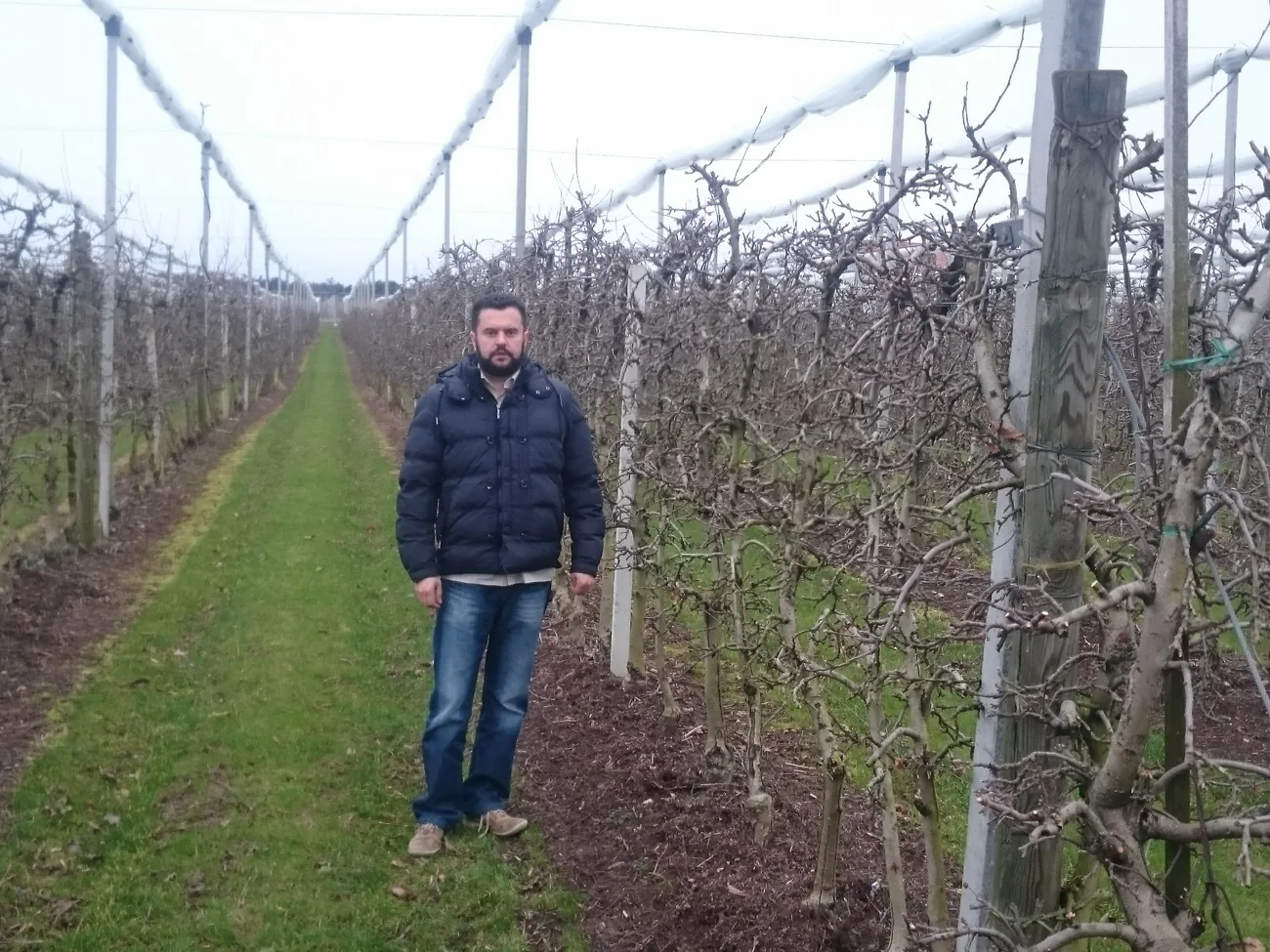 Terenski rad u intenzivnom nasadu tijekom mirovanja vegetacije